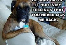 Dog quotes / by Fur Baby Adventures Dog Walking & Pet Sitting