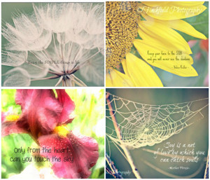 ... rishikajain.com/2011/07/18/ralph-waldo-emerson-nature-quotes-pictures