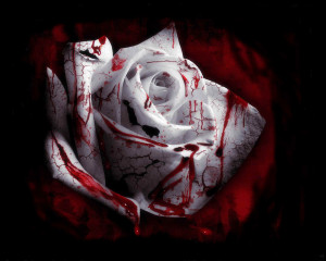 Download Scary Other wallpaper, 'bloody rose'.