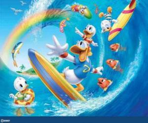 donald duck et daisy surf avec ses trois neveux donald