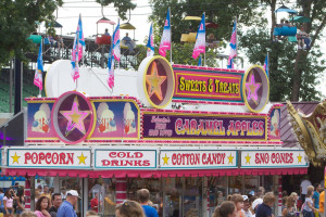 Above is an example of some of the booths at the fair.