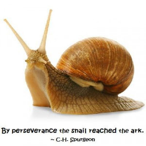 By perseverance the snail reached the ark. – Charles Spurgeon