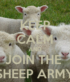 Keep Calm And Join The Sheep Army Carry Image