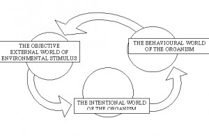 About 'Social learning theory'