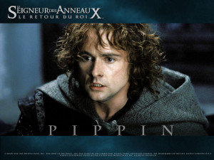 Seigneur des anneaux