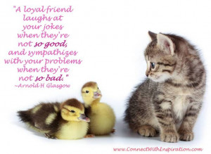 Quotes On Friendship, A Loyal Friend Laughs At Your Jokes, A cat and ...