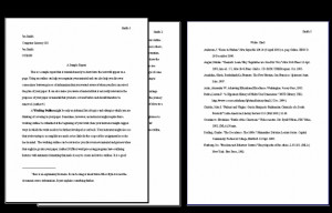 Mla Style Works Cited Page Example