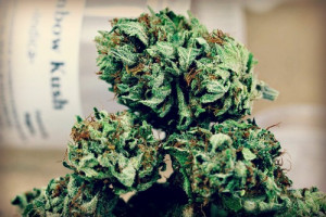 weed marijuana kush pot dank reefer 420 high medical marijuana Faded ...