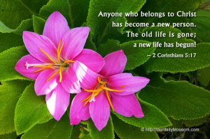 ... . The old life is gone; a new life has begun. ~ 2 Corinthians 5:17