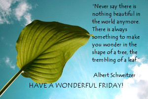 Beautiful Friday Quotes Friday quotes and sayings :