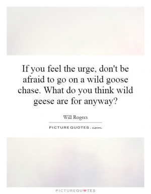 If you feel the urge, don't be afraid to go on a wild goose chase ...