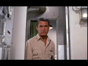 Cary Grant: 4-Disc Collector's Set (Indiscreet, Operation Petticoat ...