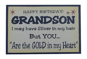 Happy Birthday Grandson Quotes http://www.ebay.co.uk/itm/1-x-Funny ...