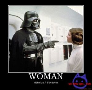 Darth Vader Woman Make Me a Sandwich - What Darth should have said.