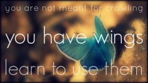 to dream and work to make those dreams come true