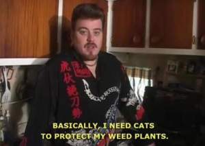 animals trailer park boys cats weed funny