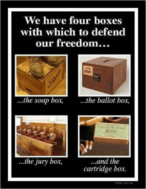 Weapon/Gun Quotes Cartoons Signs-4-freedoms-guns.jpg