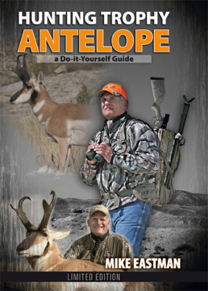 coetzee disgrace wikipedia