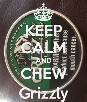 Grizzly Chew Wallpaper