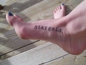 up in the novel when Ponyboy and Johnny watch a sunrise together ...