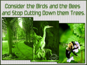Consider the birds and the bees and stop cutting down them trees.
