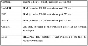 Table 1. Example imaging contrast mechanisms for different biological ...