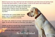 Heart-wrenching poem from an old dog to his owner. What your dog would ...