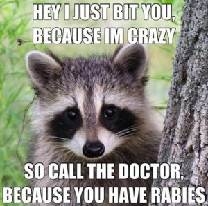 Crazy Funny Pictures Of Animals With Sayings Funniest crazy picture ...