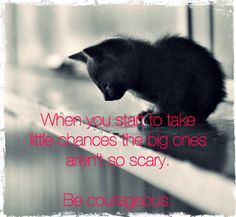 ... doesn't love a courageous kitty? #quotes #inspiration #cats #animals