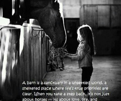 in collection: equestrian quotes