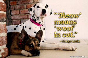 Inspirational Quote: “'Meow' means 'woof' in cat.” ~ George Carlin