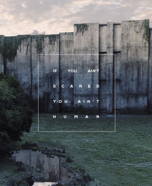 The Maze Runner by James Dashner.