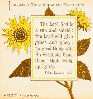 bible verse nature sunflower