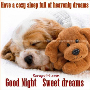 good night puppy scraps for facebook , cute teddy good night pictures
