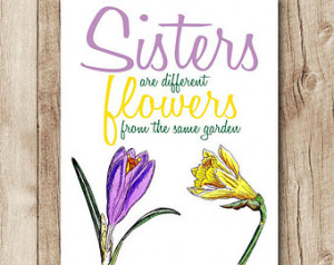 sister quote, sisters wall art, gift for sister, sisters are different ...