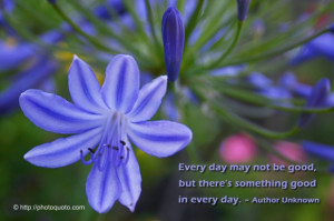 ... not be good, but there's something good in every day. ~ Author Unknown