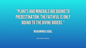 Iqbal Quotes