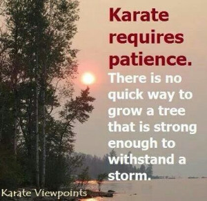 martial arts quotes and inspiration