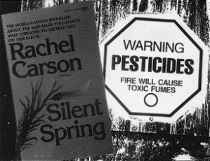 50th Anniversary Of 'Silent Spring' ~ Importance Of Environmental ...