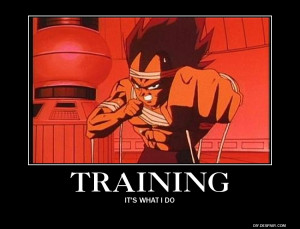 Training by Vegeta-Sensei