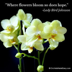 Flowers Bloom Hope