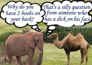 elephant and camel arguement
