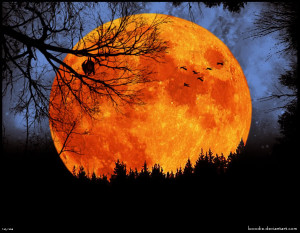 The flame-red moon, the harvest moon,