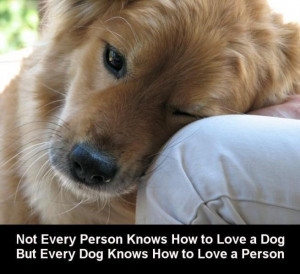 if you love dog you know its true!