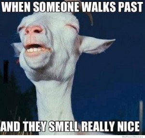 Dat smell – when someone walks past and they smell really nice