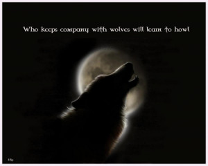 quotes, winter, majestic, howl, canine, arctic, wolves, wolf wallpaper ...