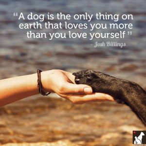 11 Quotes for the Love of Dog (or Cat)