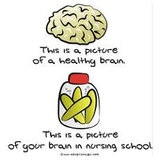 Nursing School Brain Poster