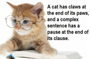 Kitty cat grammar? Solid as a hammer!