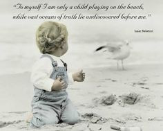 Sand Dollar Story of Inspiration